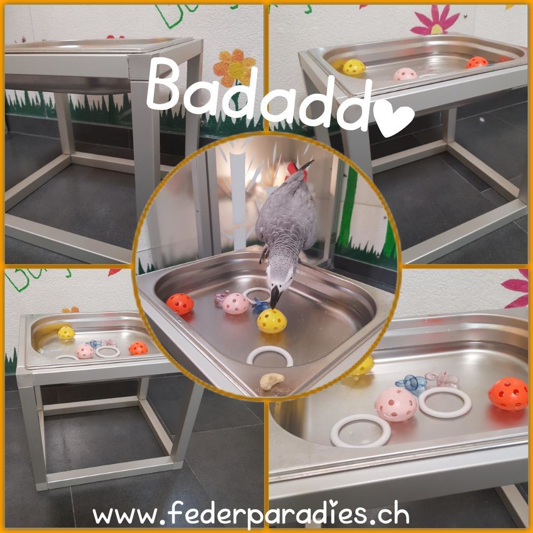 Badaddo