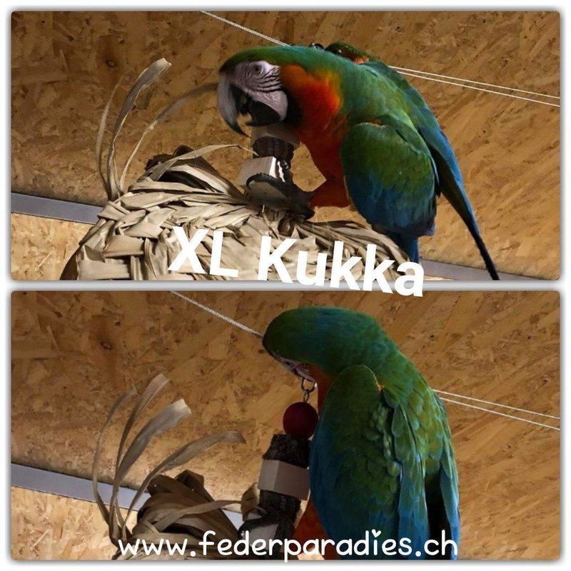 XL Kukka