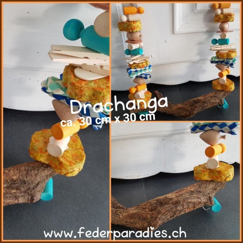 Drachanga