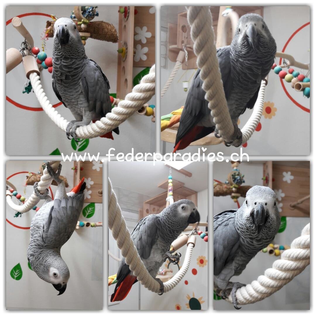 RELAXXI, Länge total 145 cm
