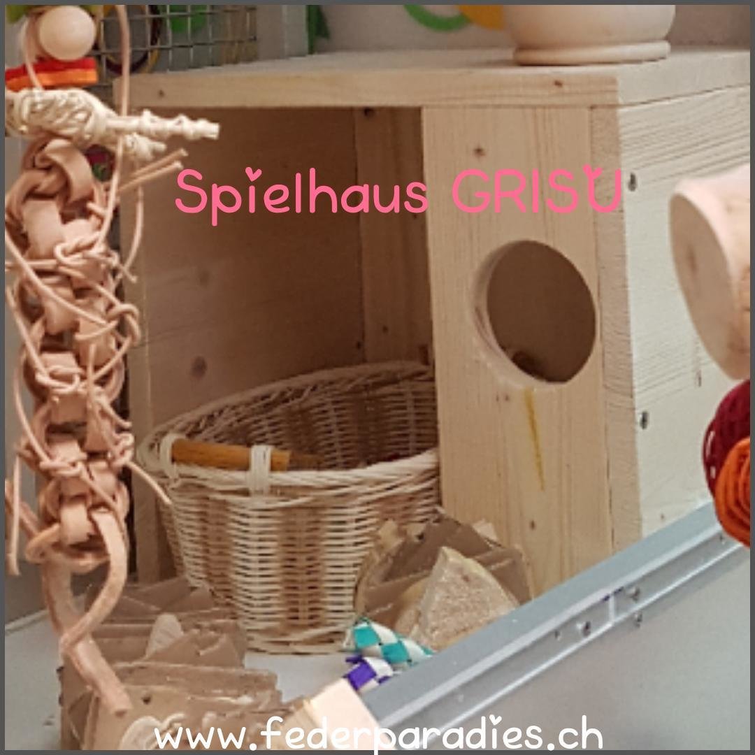 Spielhaus GRISU