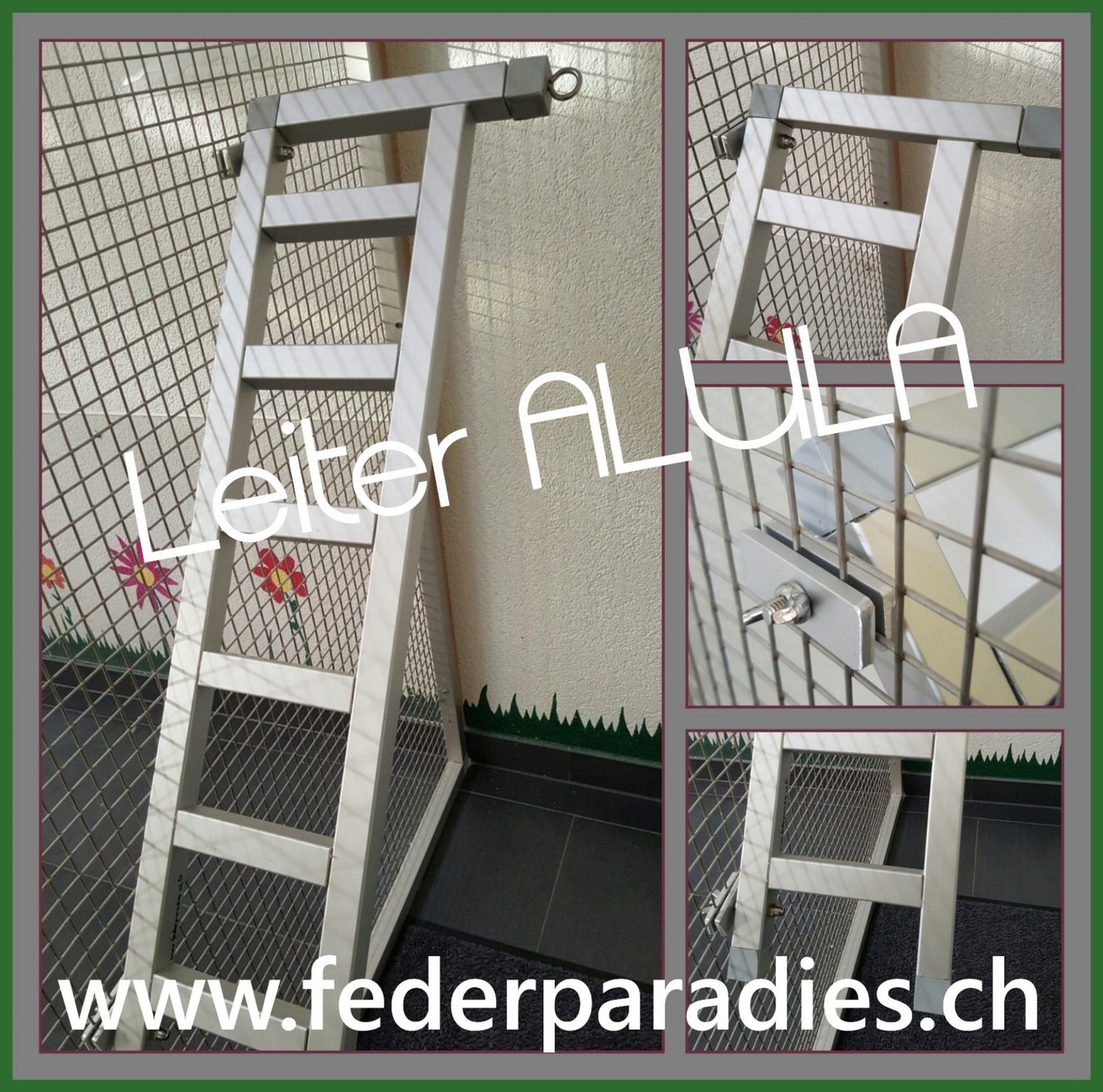 Leiter ALULA