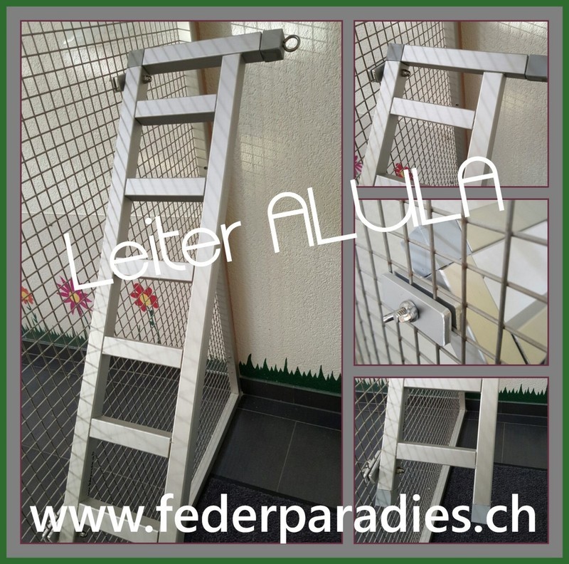 Leiter ALULA