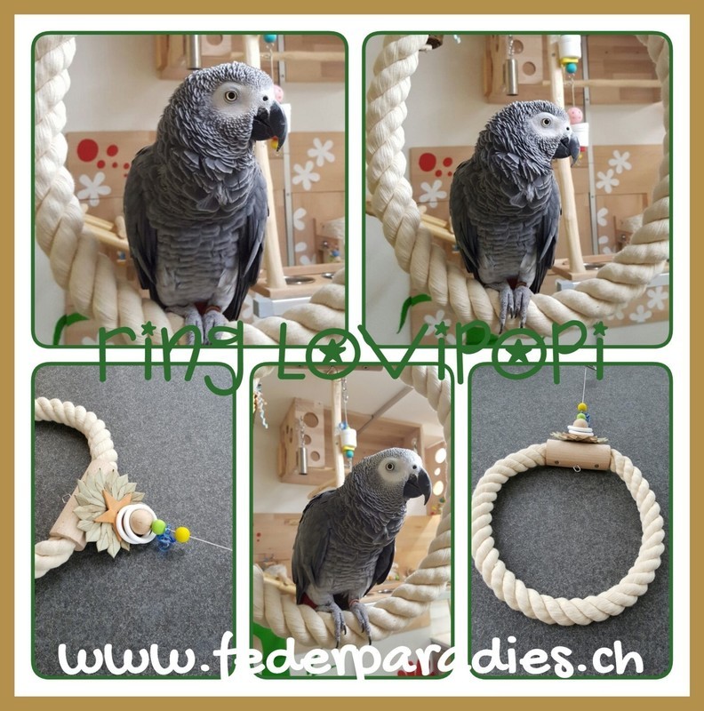 Ring Lovipopi