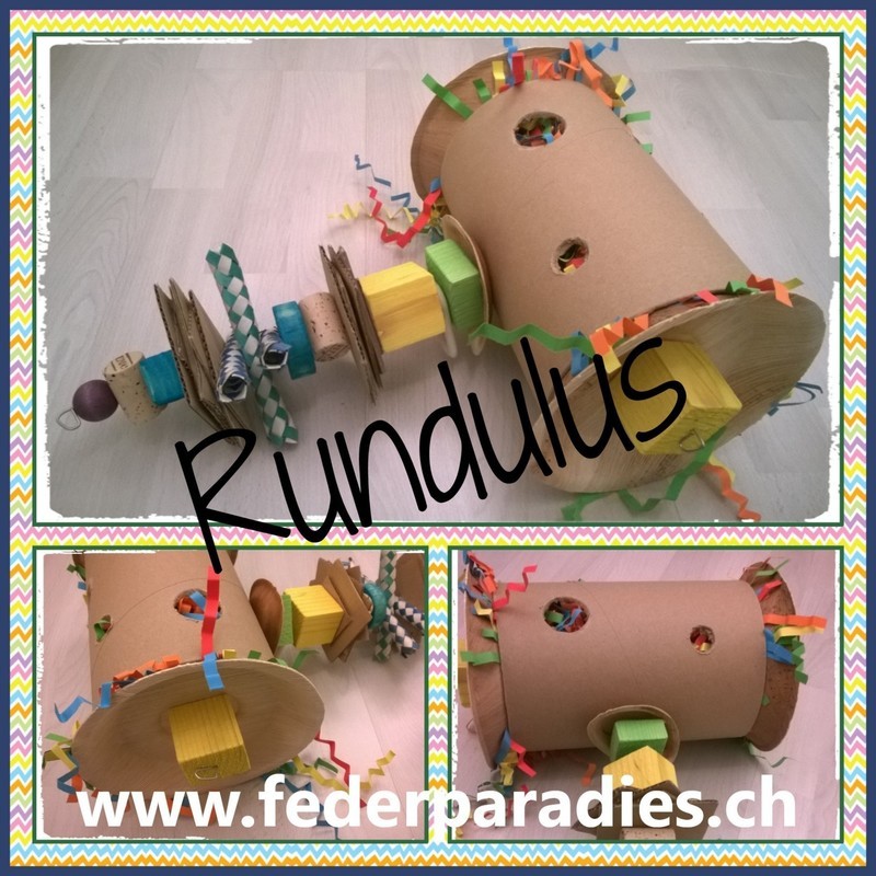 Rundulus