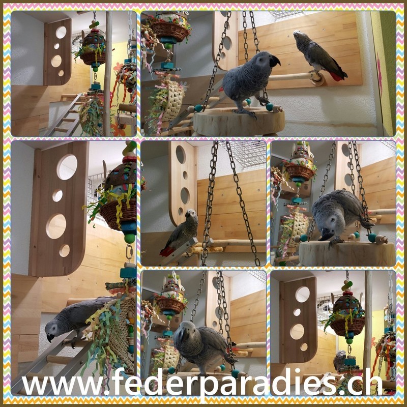 Wand Sichtschutz FINDA