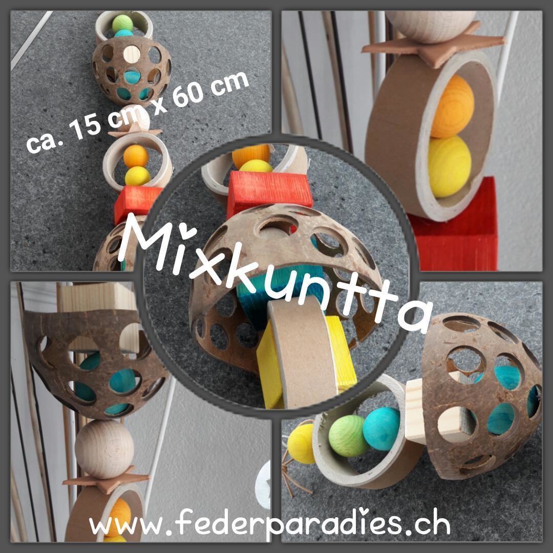 Mixkuntta
