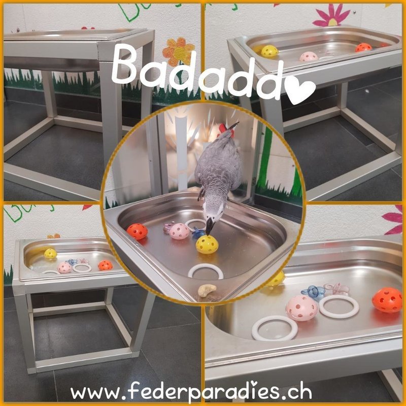 Badaddo
