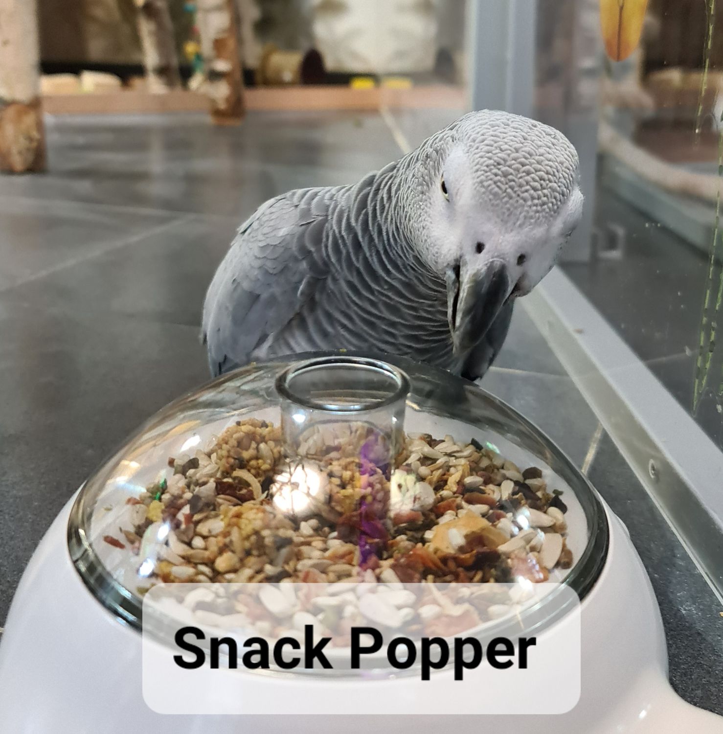 Snack Popper Snack Popper