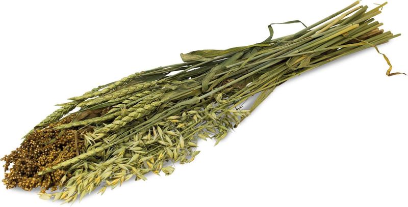 JR Farm Sommer-Ernte 80 gramm