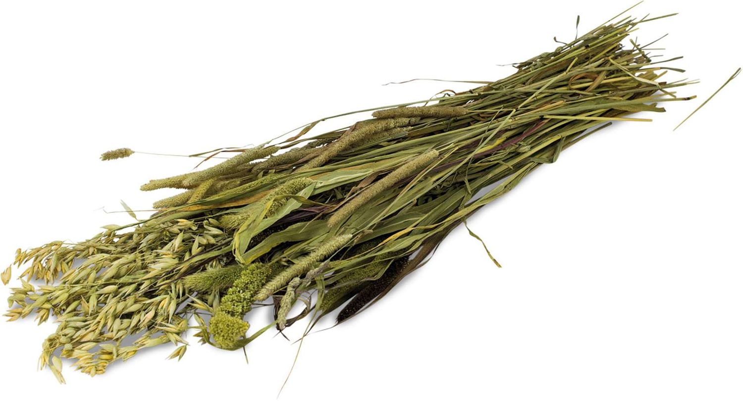 JR Farm  Wiesen-Ernte 80 gramm