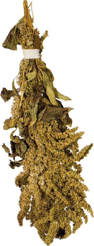 JR Birds Amaranth 30 gramm