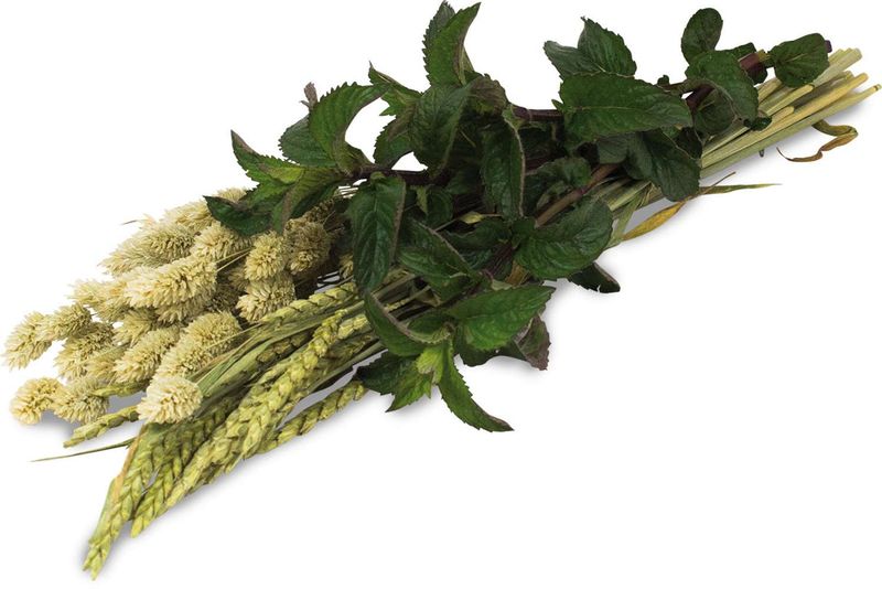 JR ESN Kräuter-Ernte 80 gramm