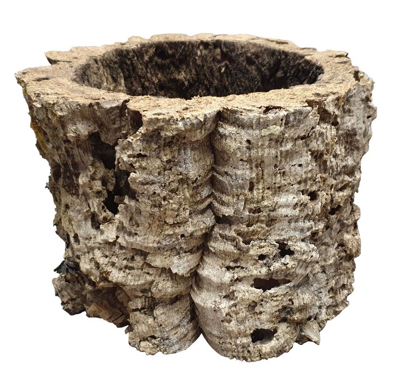 Korkring 1 Stück Korkring 1 Stück