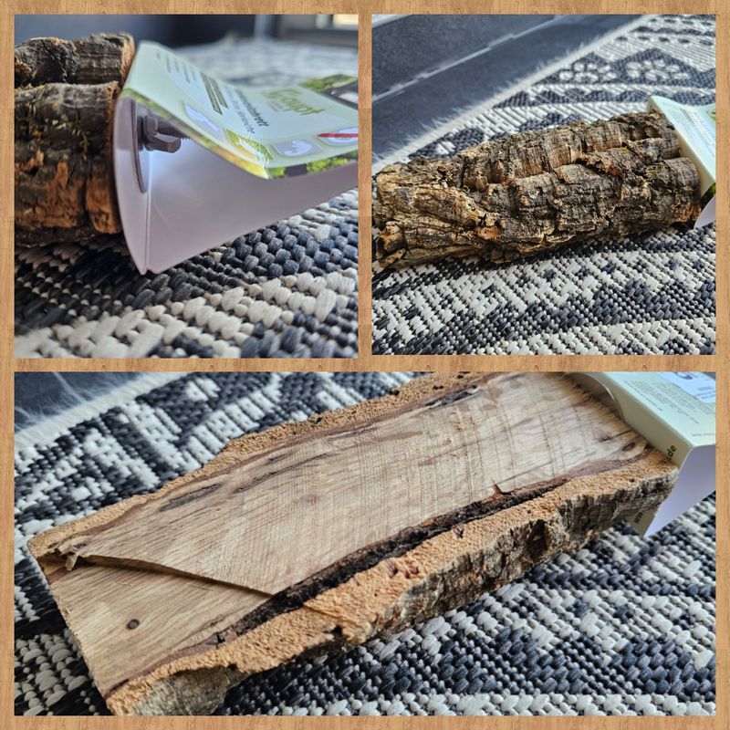 Korkastsitzbrett / Korkeiche