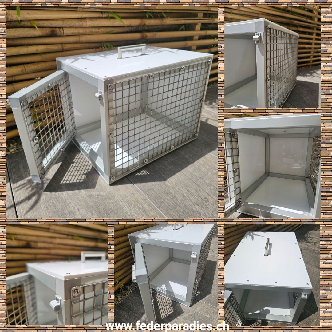 Transportbox Transportbox