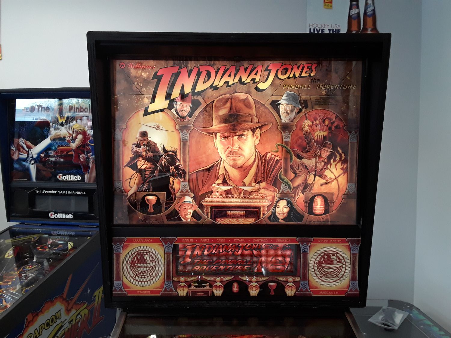 Indiana Jones: The Pinball Adventure