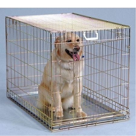 general cage dog crates