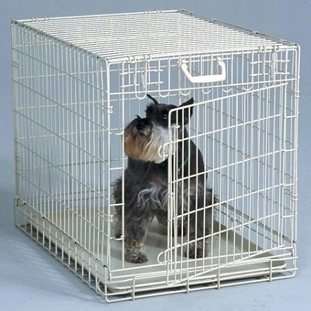 large white dog crate