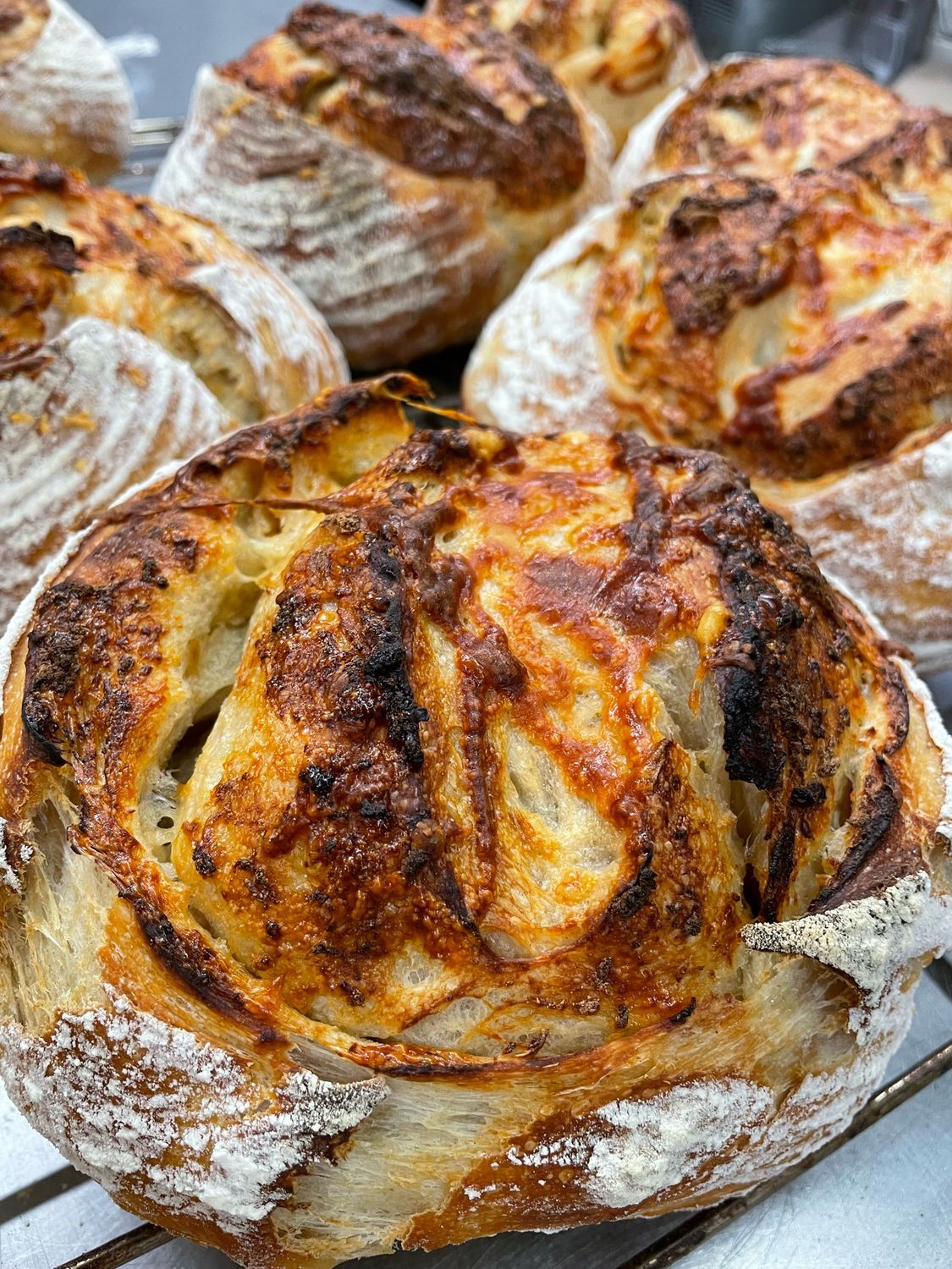 Roasted Garlic With Rosemary