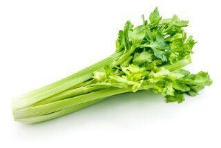 celery bunch - Spanish