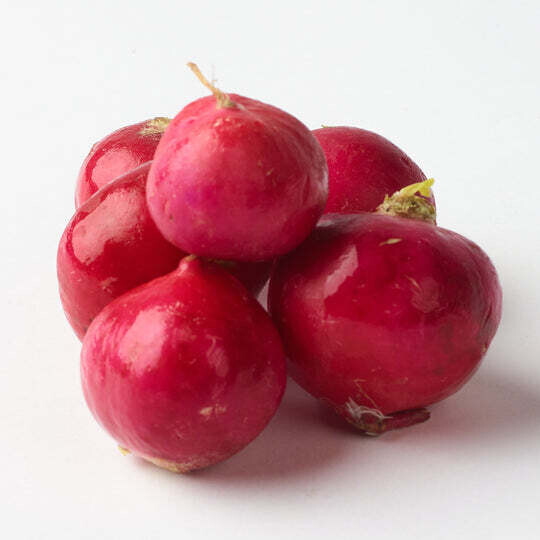 radish