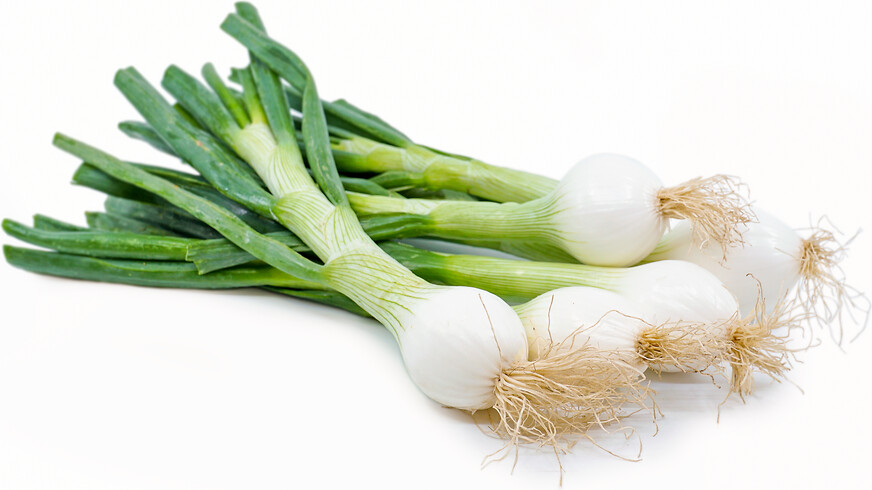 Spring onions bunch - English