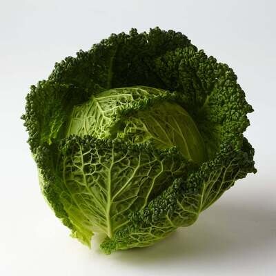 savoy cabbage