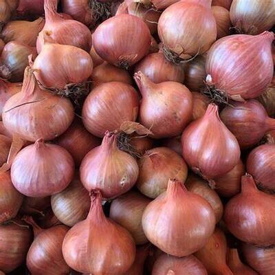 Shallots 500g