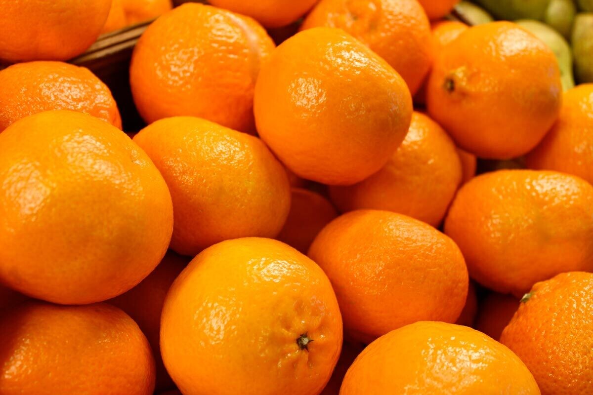 satsuma each 