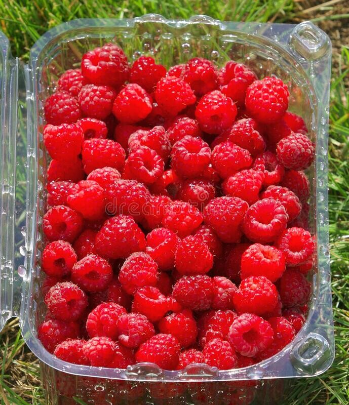 Raspberries 125g