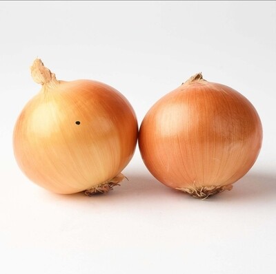Large white onions - Spanish kg