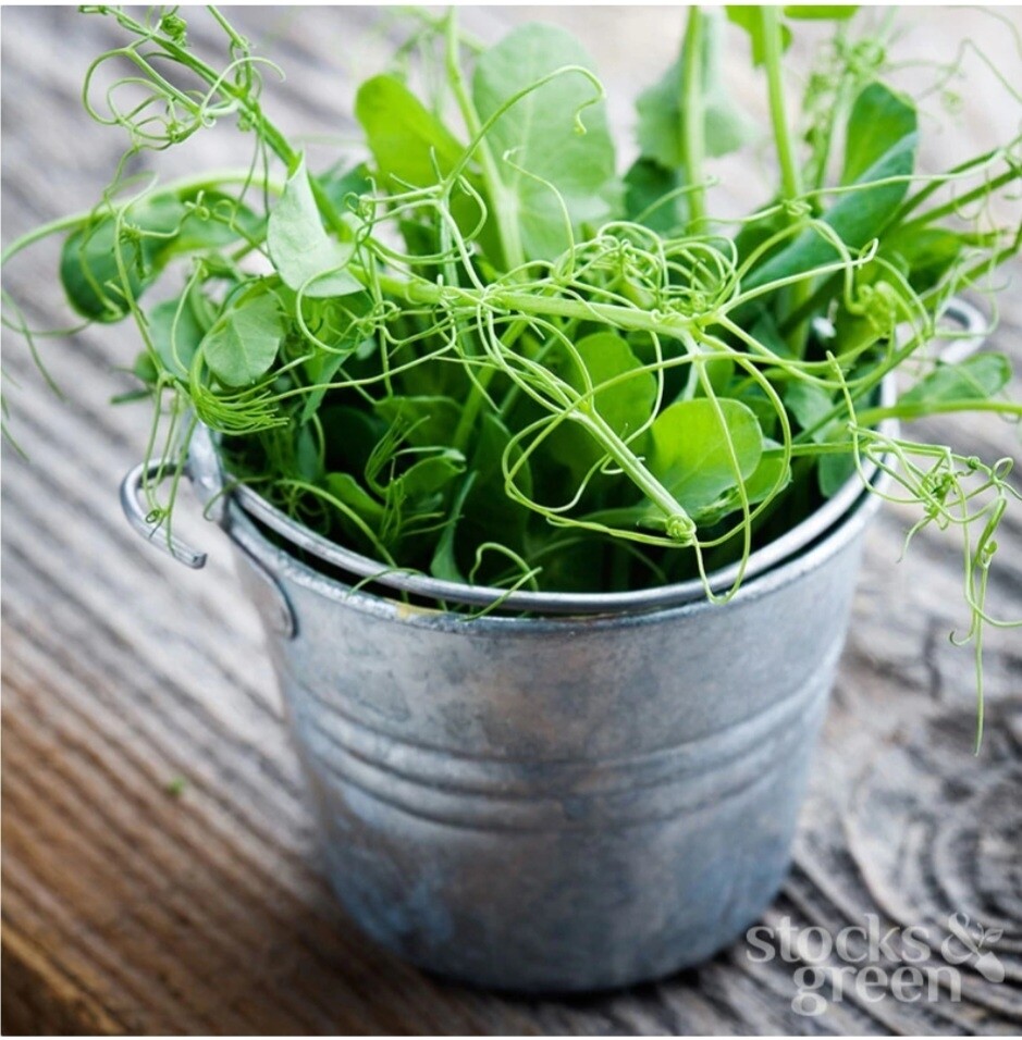 Peashoots 100g 