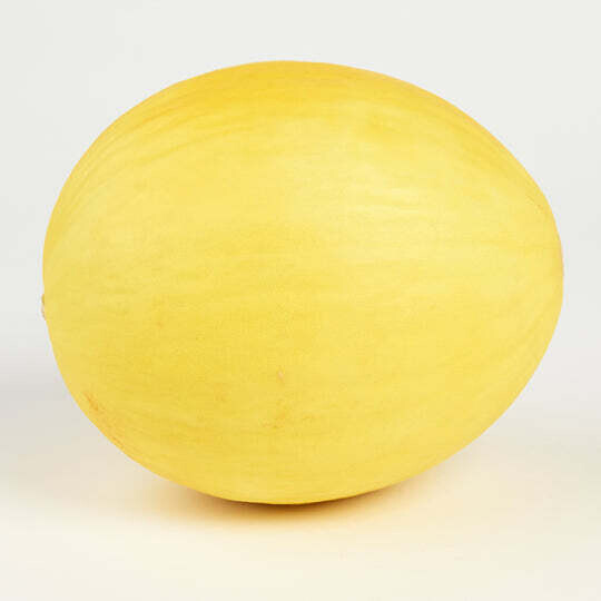 honeydew melon