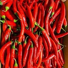 Red chilli each