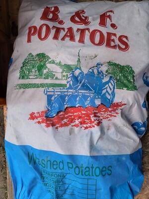 Potatoes - Jumbo