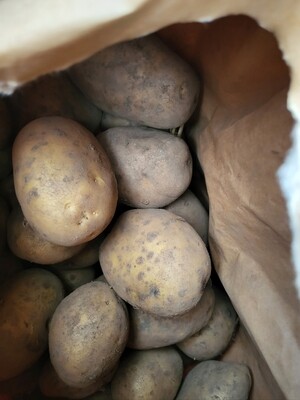 Potatoes- Mucky