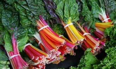 rainbow chard bunch