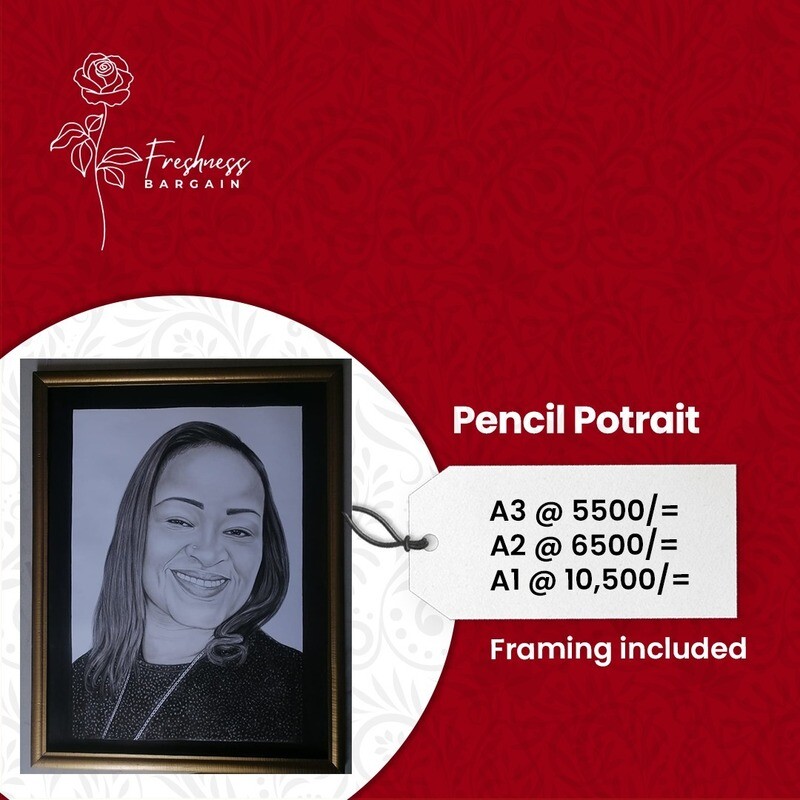 Gorgeous Pencil Potraits for Her Or  Him