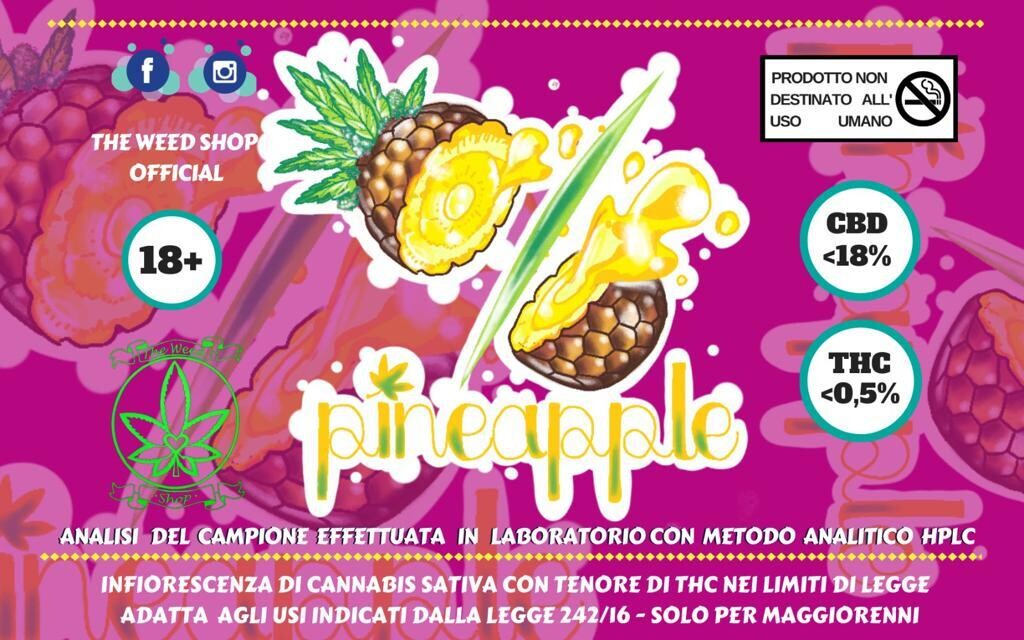 PINEAPPLE