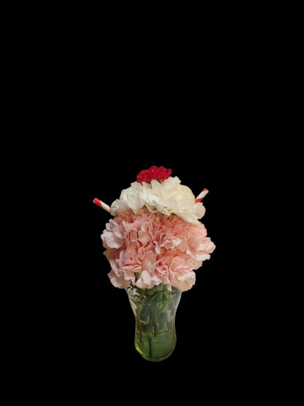 Carnation Cups