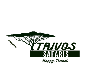 TRIVOS SAFARIS SHOP