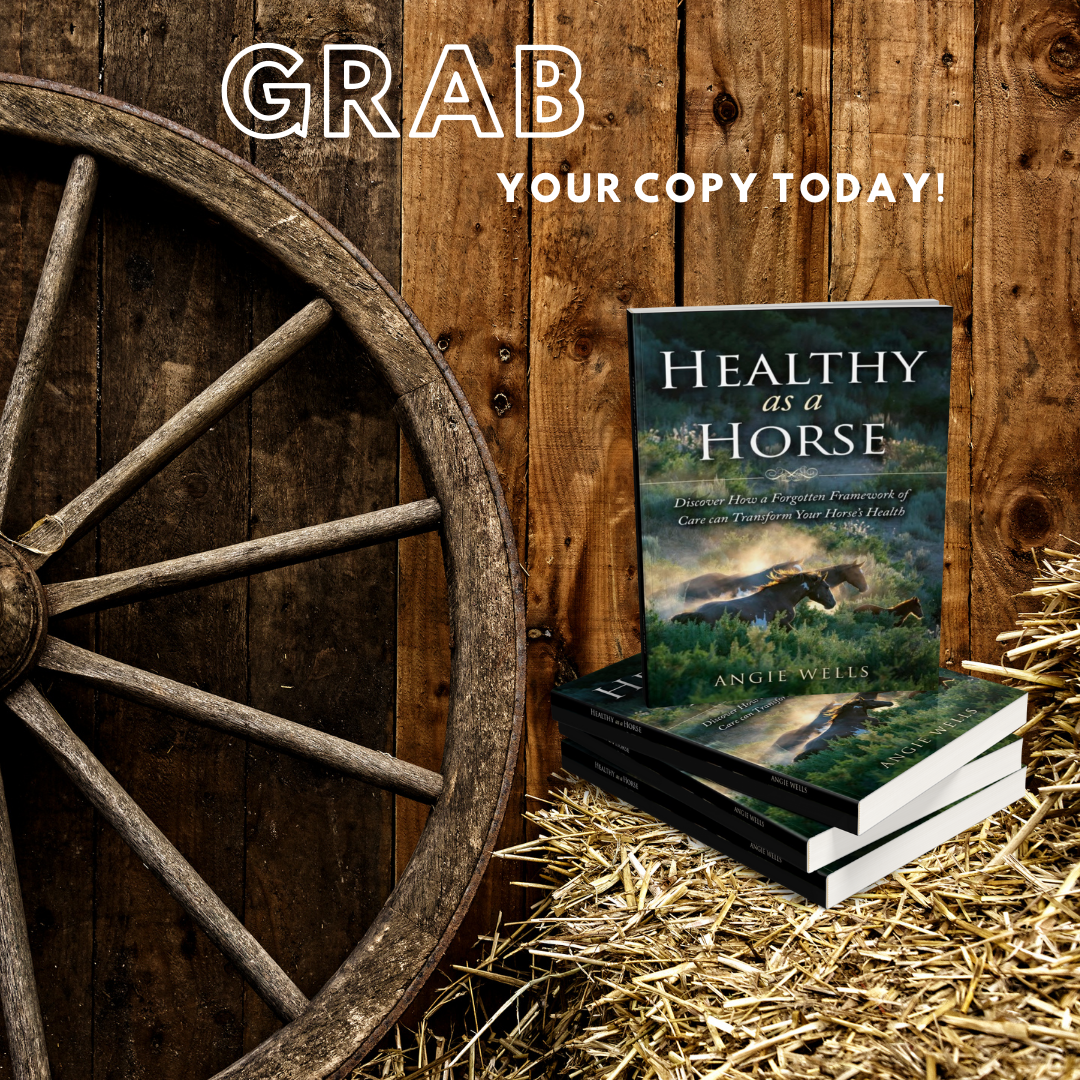 Healthy as a Horse Paperback