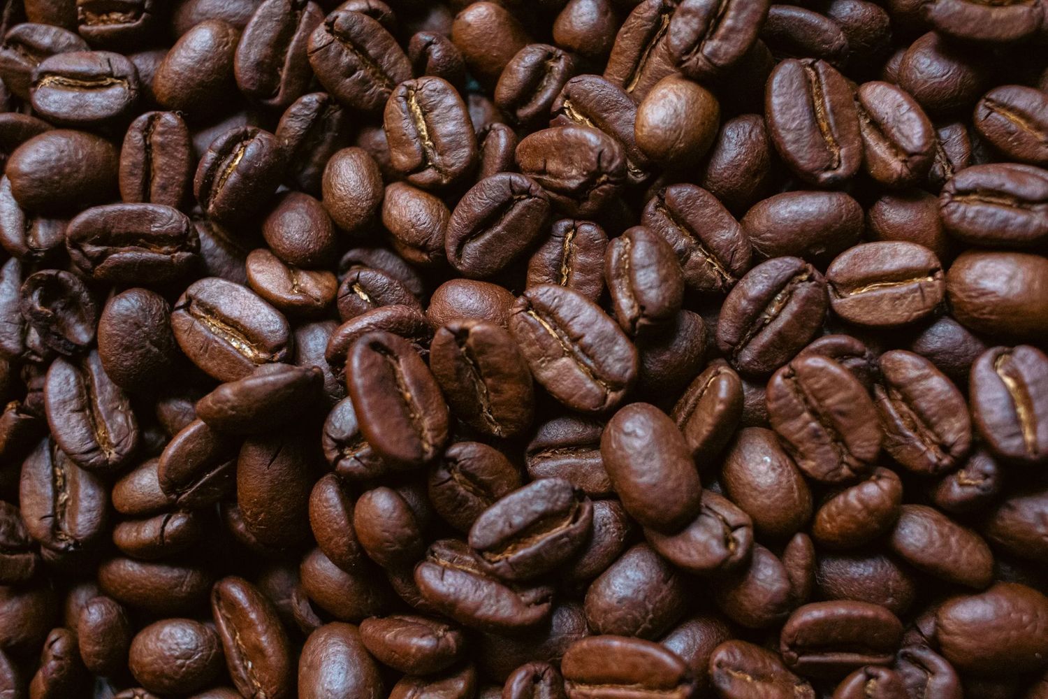 9th Island Coffee Whole Bean (1lb)