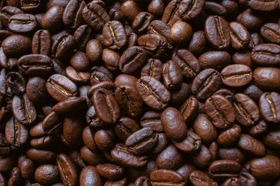 9th Island Coffee Whole Bean (1lb)