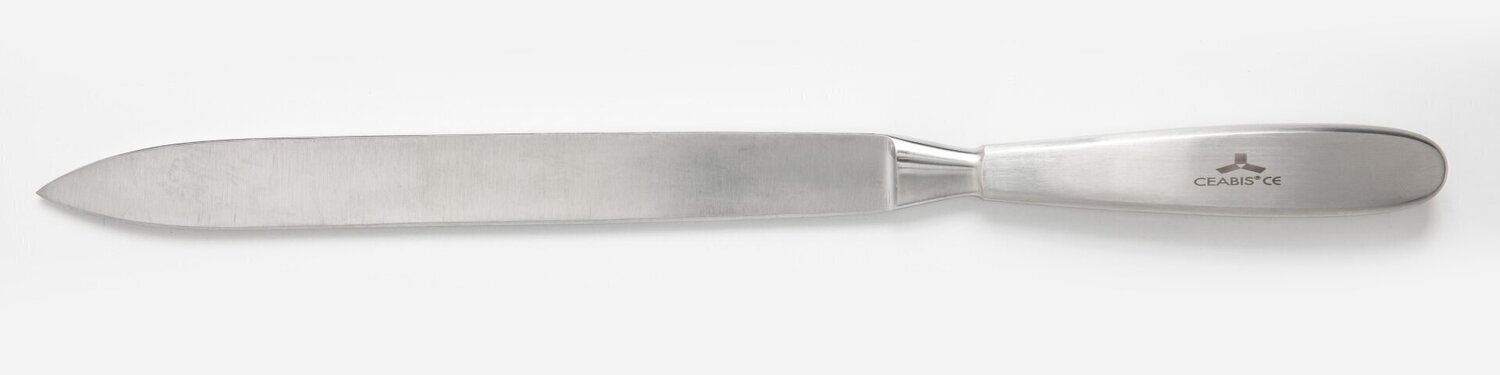 Lame de couteau d'amputation 220 mm