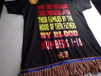 And They Declared Their Pedigrees After Thier Families by The House of Their Fathers by Blood Numbers 1-18