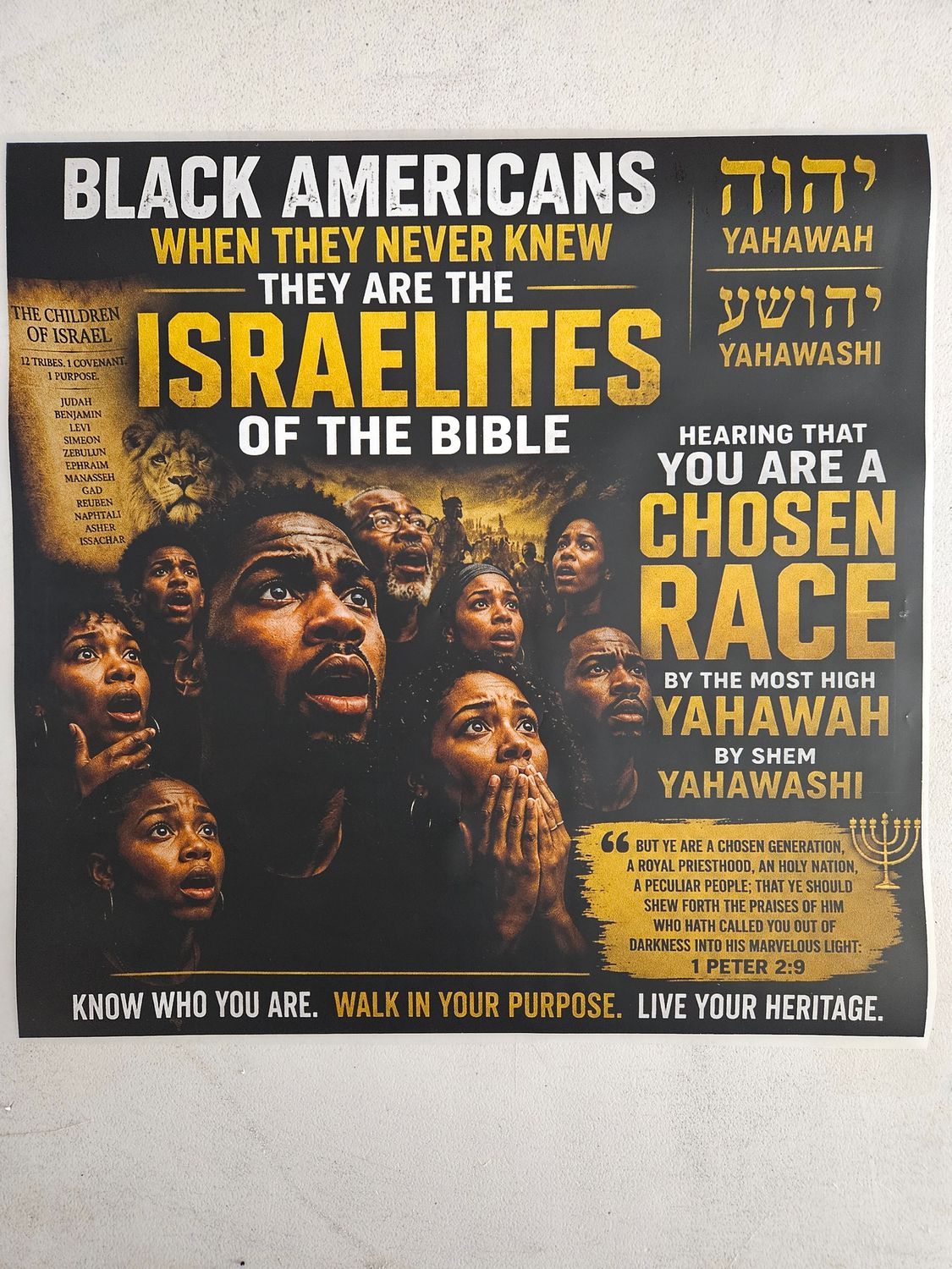 Black Americans When They Never Knew They Are The Israelites of The Bible Hearing That You Are A Chosen Race 1 Peter 2:9