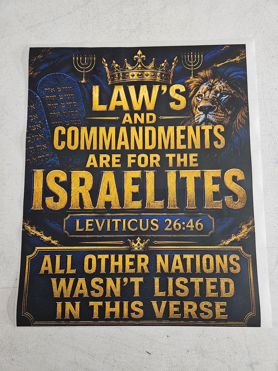 Laws And Commandments Are for the Israelites Leviticus 26:46 All Other Nations Wasn't Listed in This Verse DTF Print Size 11x14 Inch