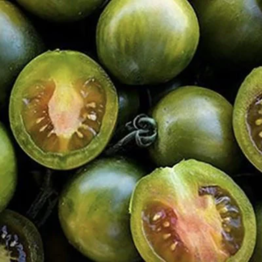 Tomato 'Evil Olive' (Solanum lycopersicum)